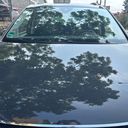 Seat Alhambra 1.4TSI-MAN6/2022/STYL.DPH.1MAJ